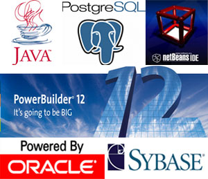 software